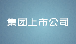 集團(tuán)上市公司網(wǎng)站設(shè)計及網(wǎng)站規(guī)劃方案